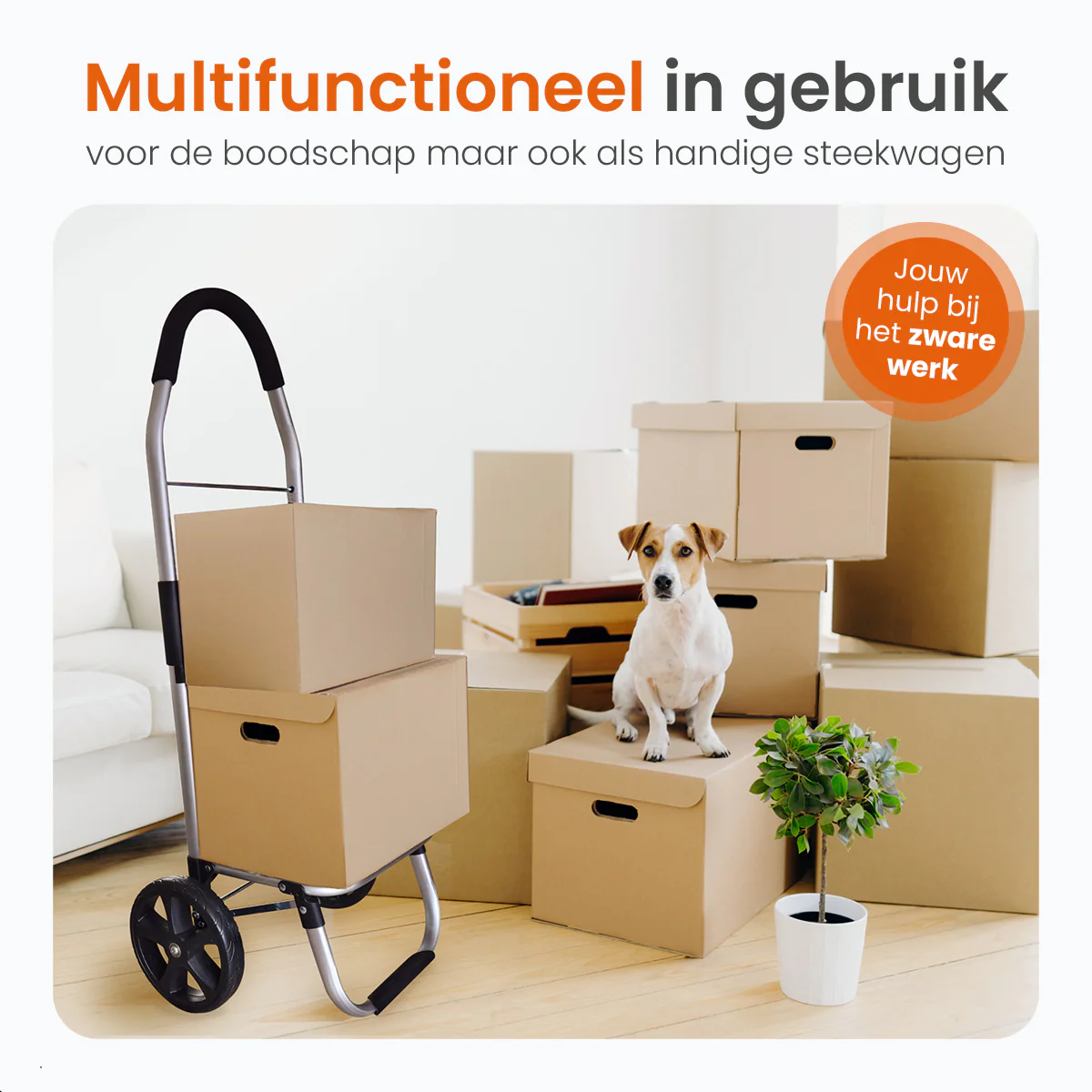 Productafbeelding 11