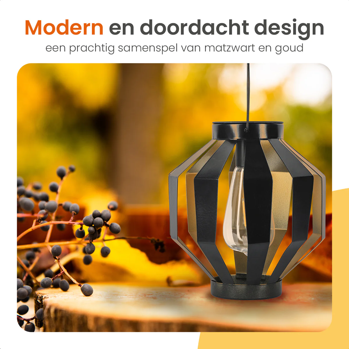 Productafbeelding 3