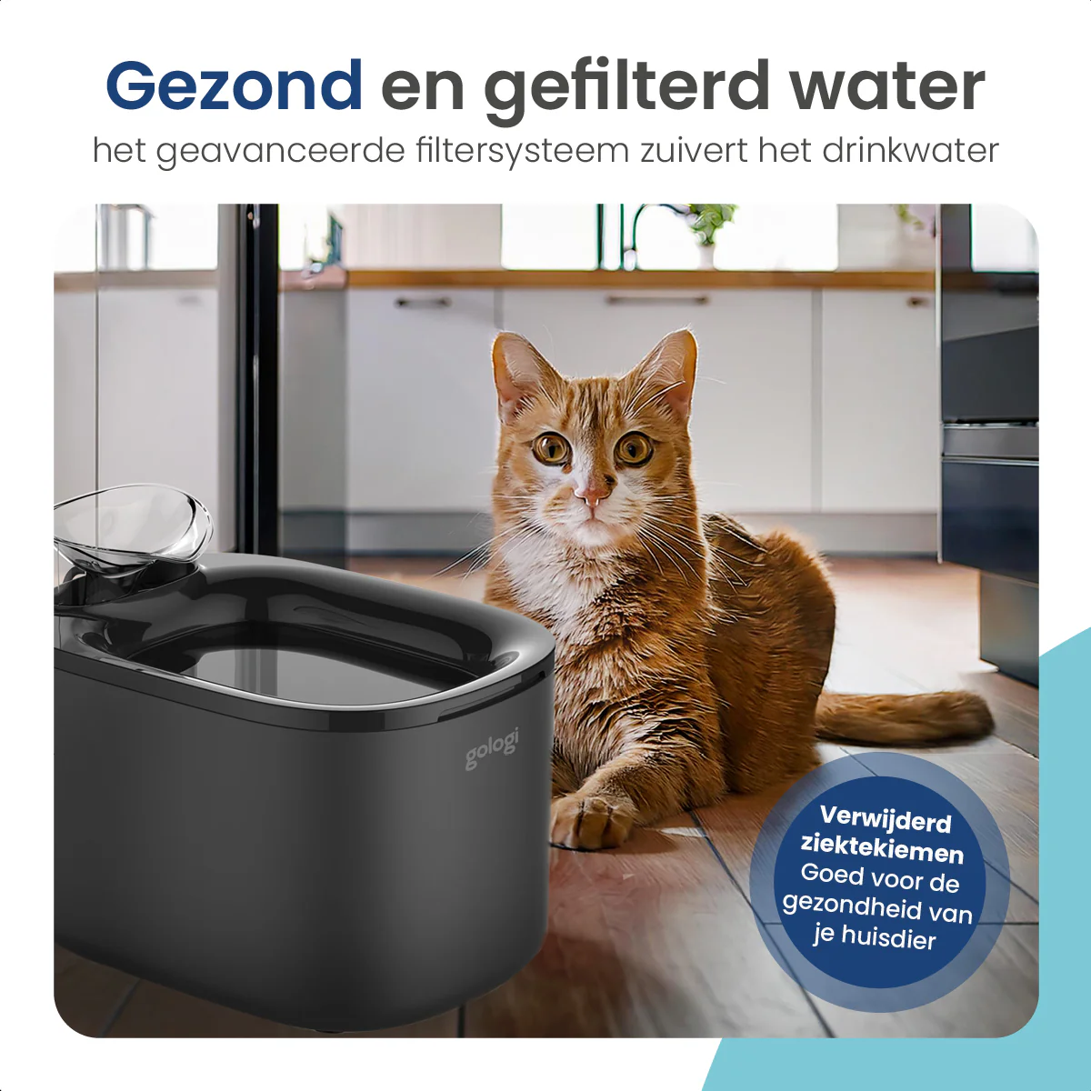 Productafbeelding 4
