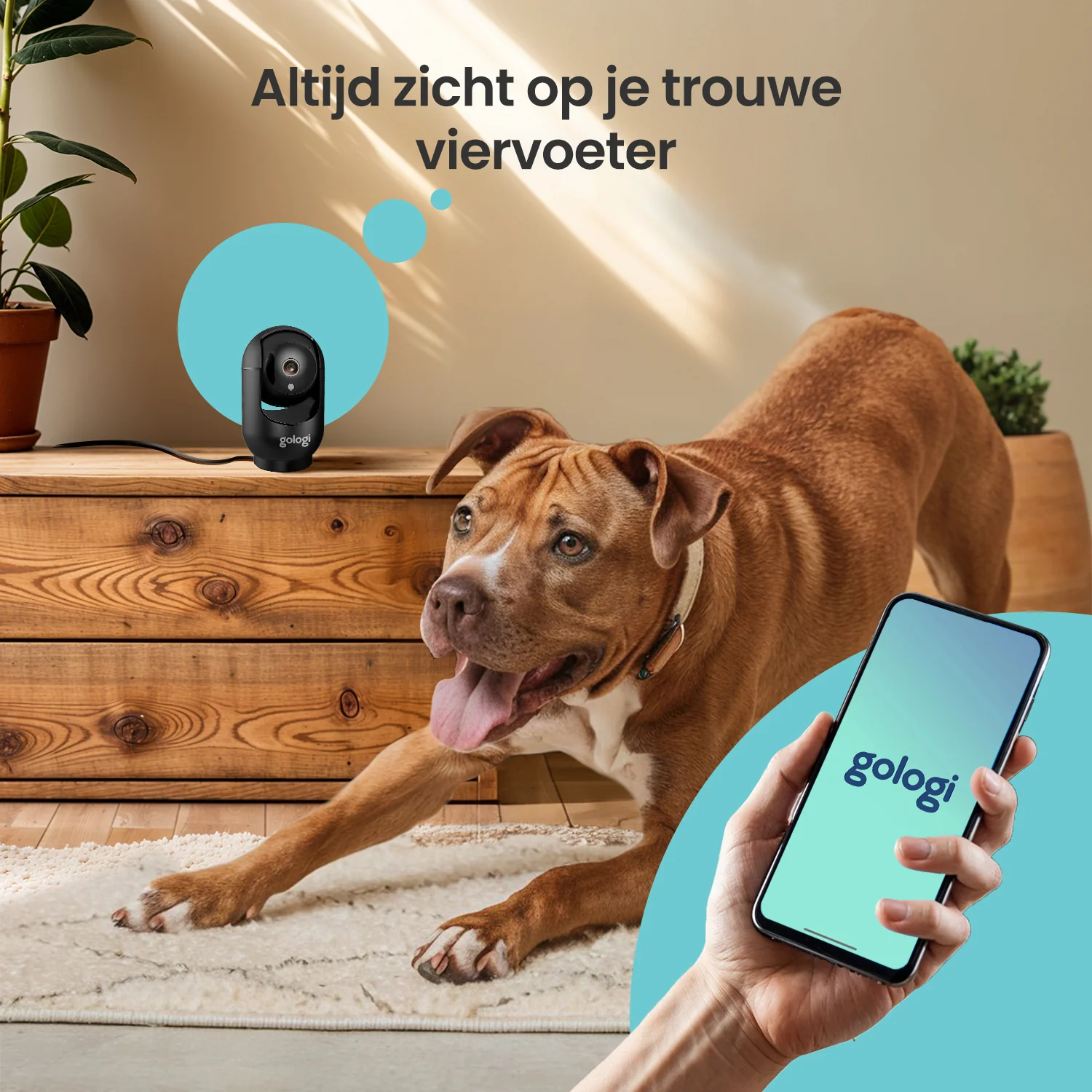 Productafbeelding 3
