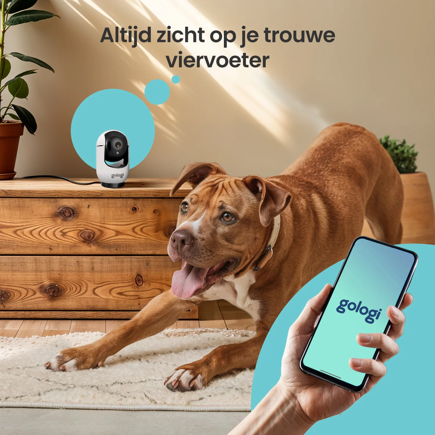 Productafbeelding 3