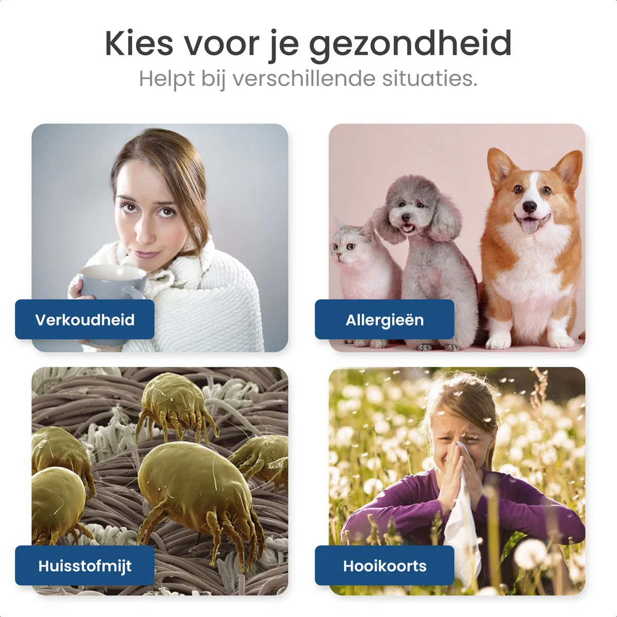 Productafbeelding 3