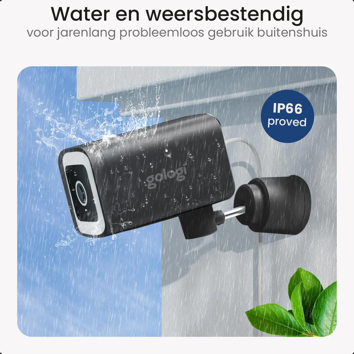 Productafbeelding 7