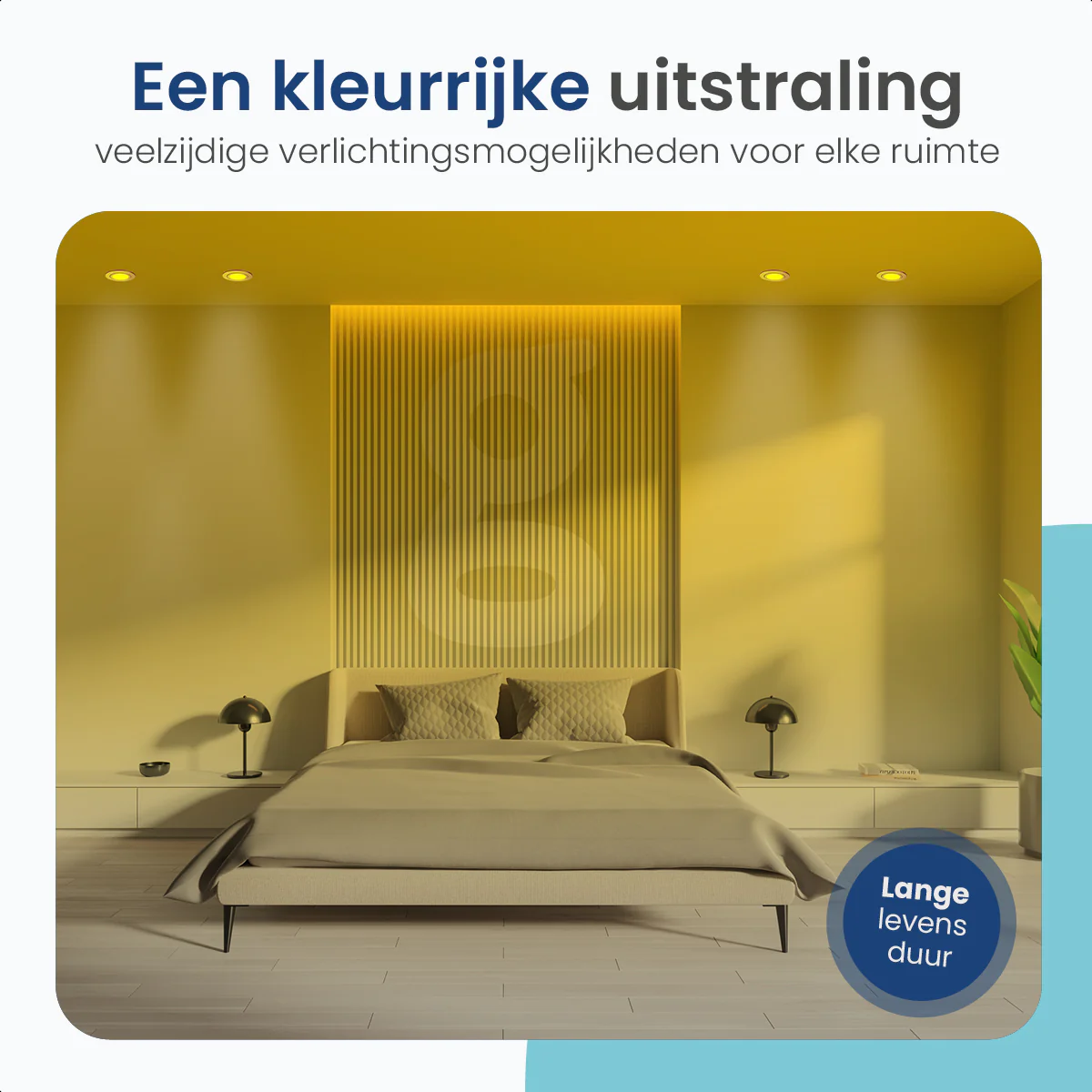 Productafbeelding 5