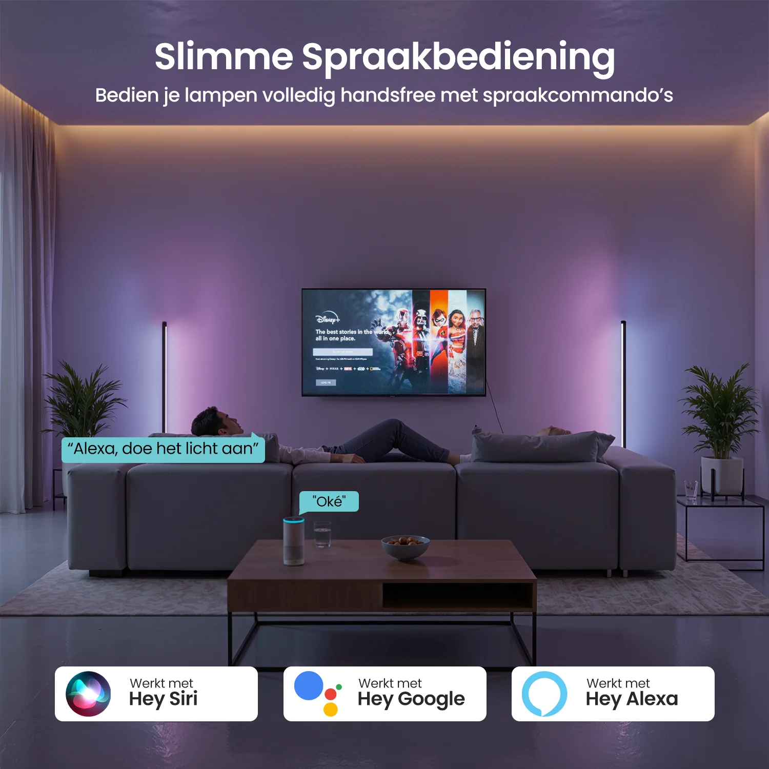 Productafbeelding 3