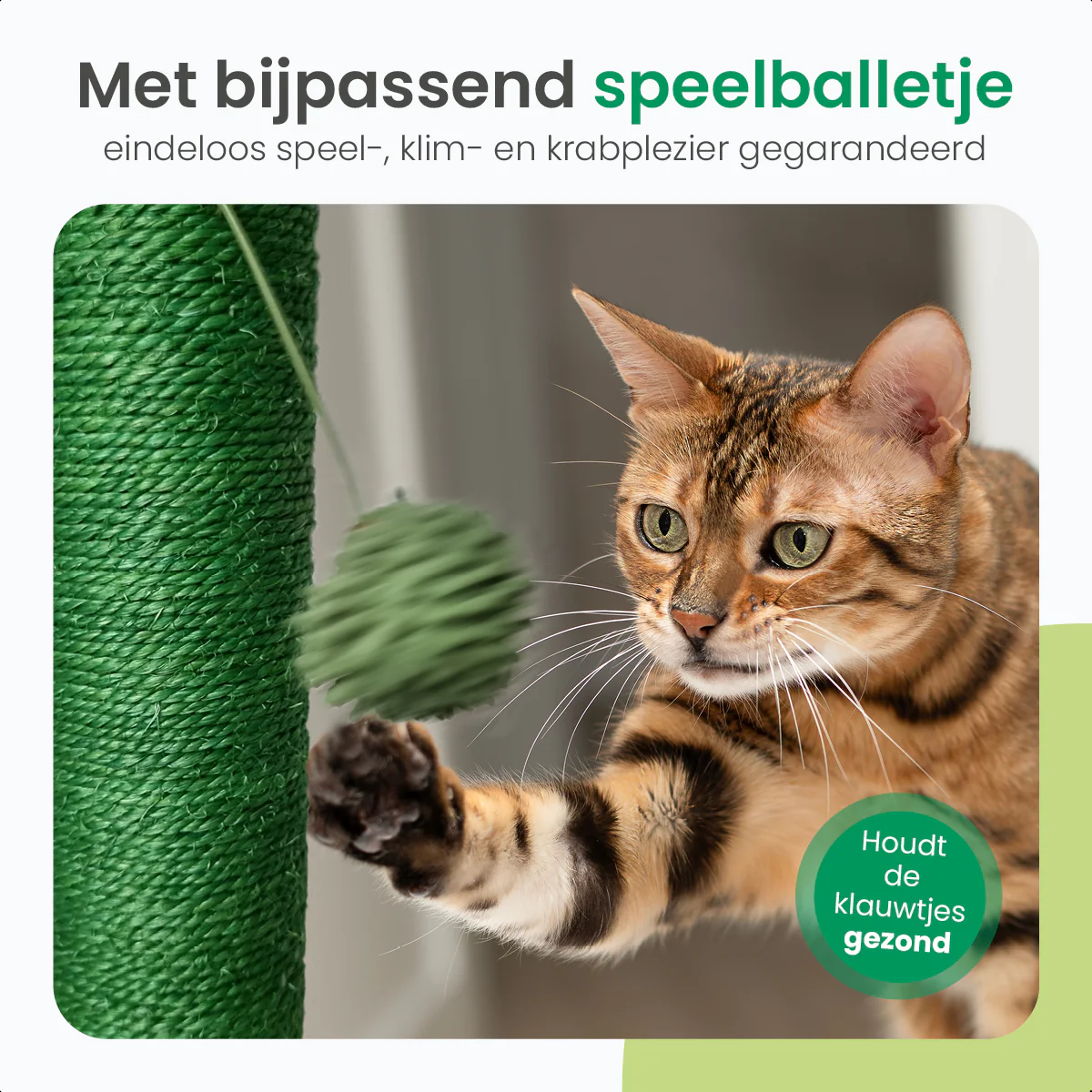 Productafbeelding 3