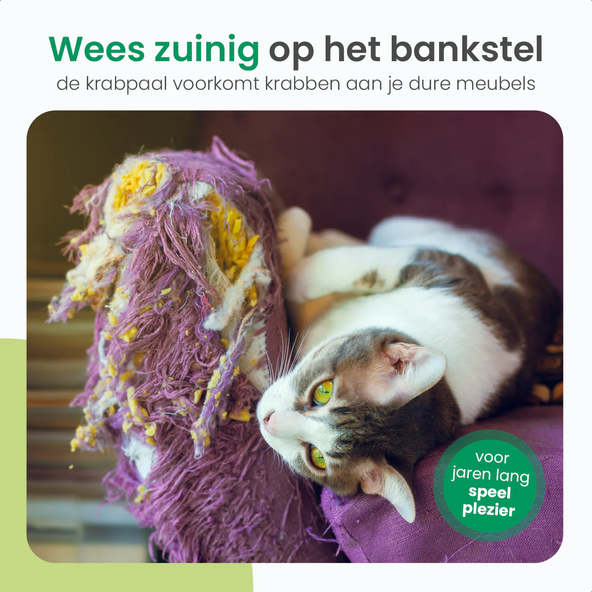 Productafbeelding 5